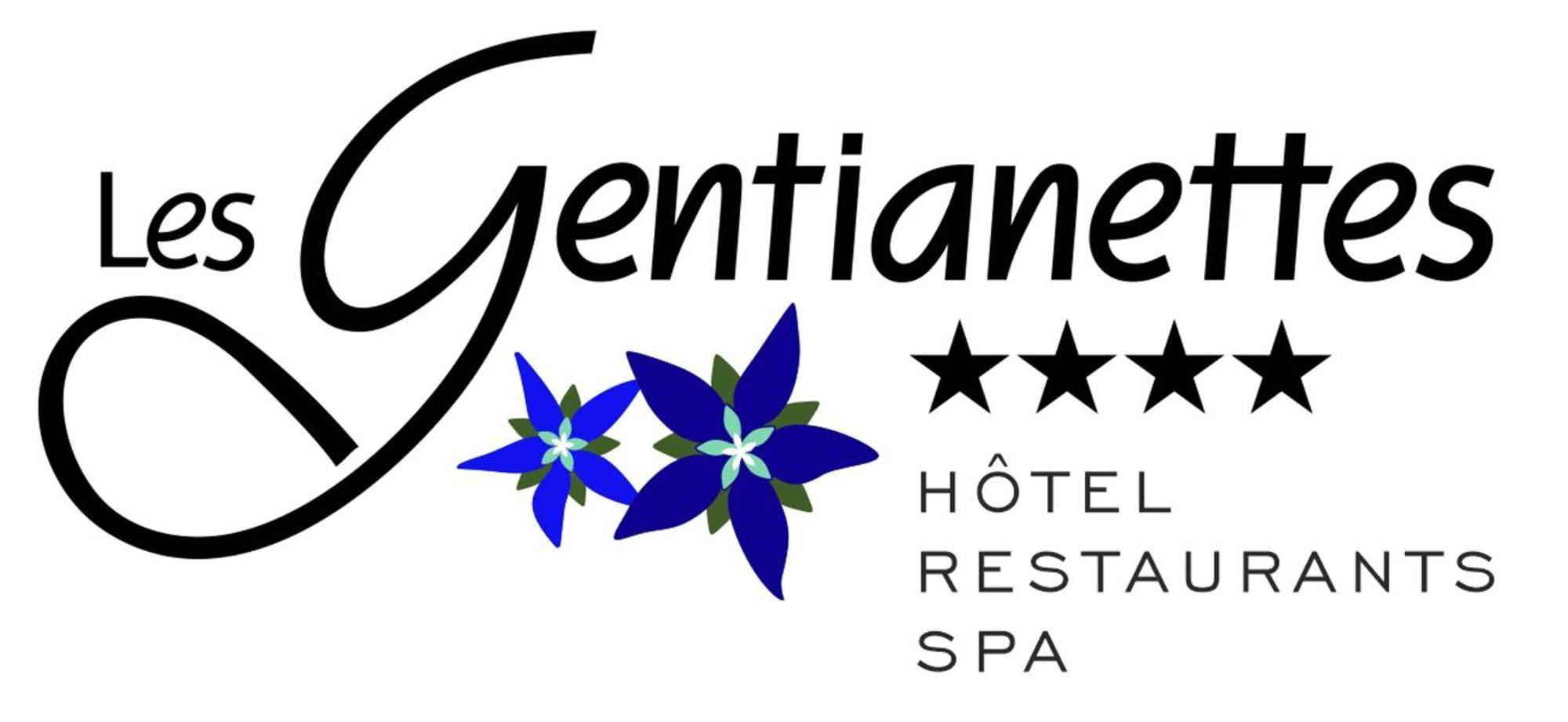 Les Gentianettes Hotel & Spa Abondance 外观 照片