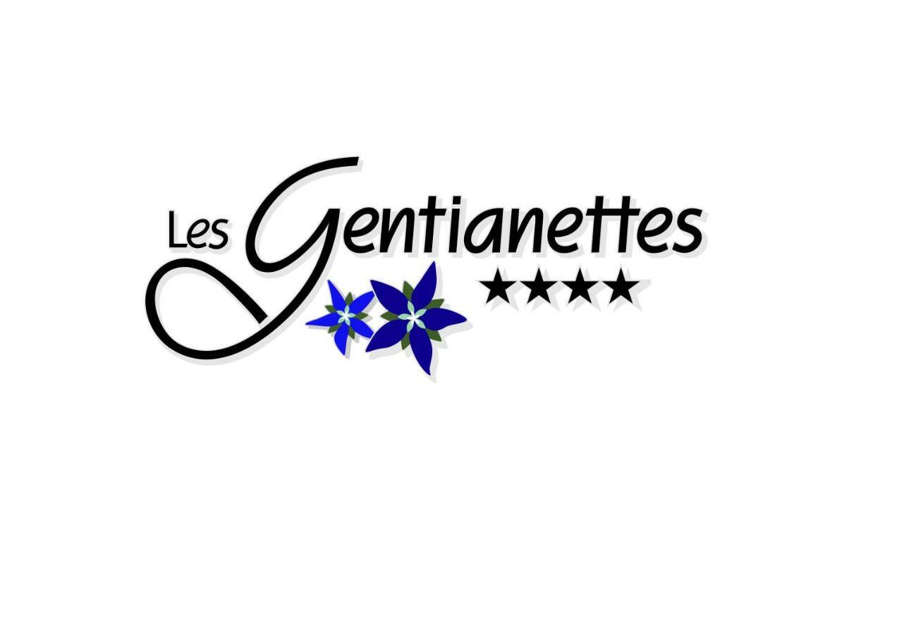 Les Gentianettes Hotel & Spa Abondance 外观 照片